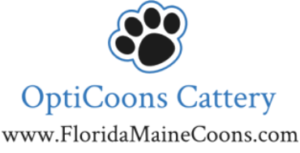 Maine Coon Kittens Florida is a TICA registered Cattery in Dunnellon, Florida. We are close to Tampa, Orlando, Ocala, Gainesville and Crystal River Florida.