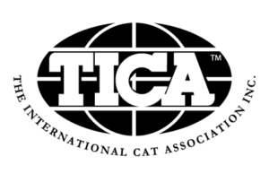 OptiCoons Cattery is a TICA registered premier breeder of Maine Coon Kittens in Florida