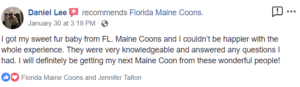 I got my sweet fur baby from Florida Maine Coons and I couldn't be happier with the whole experience. They were very knowledgeable and answered any questions I had. I will definitely be getting my next Maine Coon from these wonderful people!