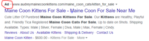 Maine Coon Scammer Google AD