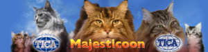 Florida Maine Coons by OptiCoons and MajestiCoons
