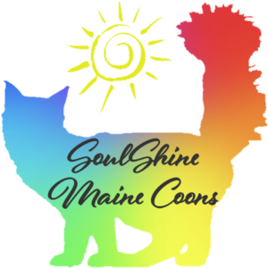 Soul Shine