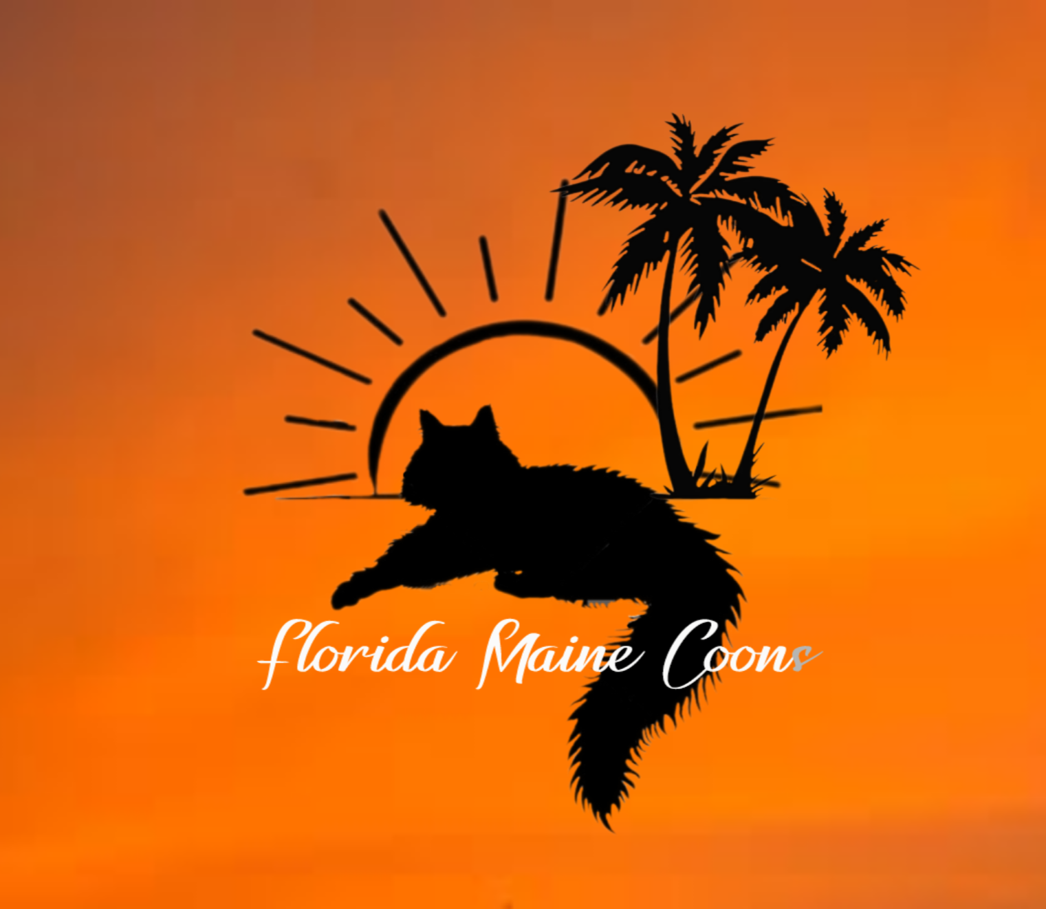 Florida Maine Coons logo