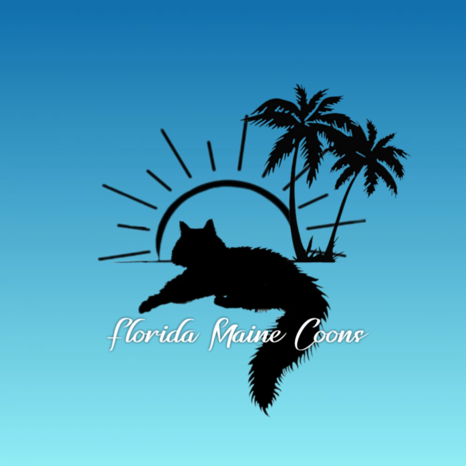 www.FloridaMaineCoons.com LOGO