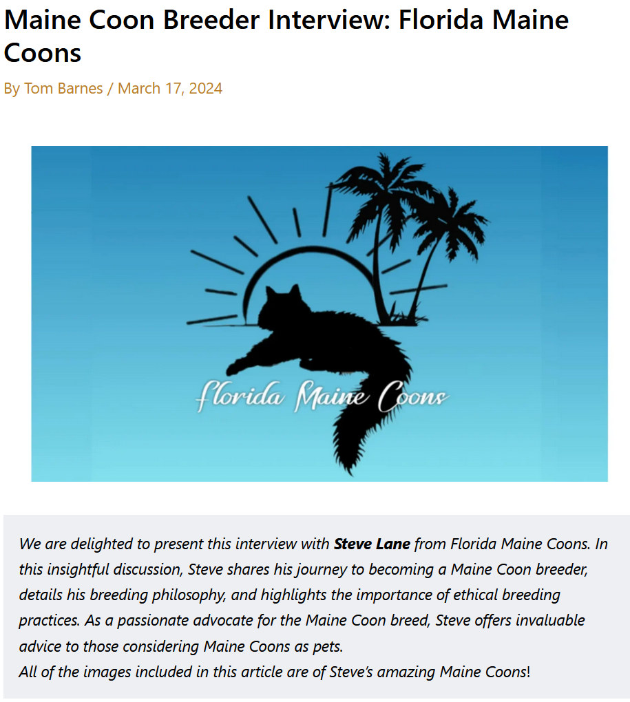 Florida Maine Coons in the news