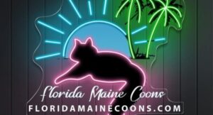 the logo of an Ethical Florida Maine Coon Breeder.